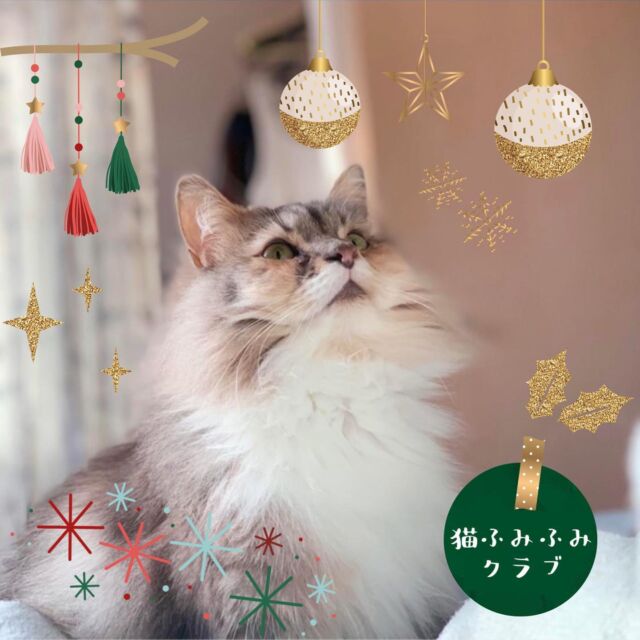猫ふみふみクラブ Home 猫ふみふみクラブ